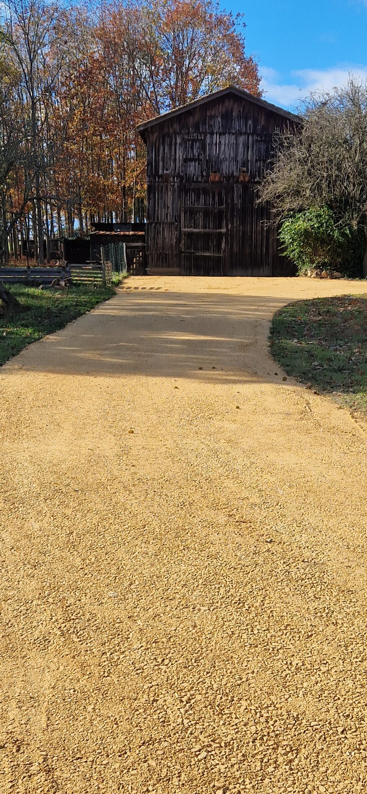 Allée de gravier jaune menant à une grange rustique en bois sous un ciel bleu d'automne.