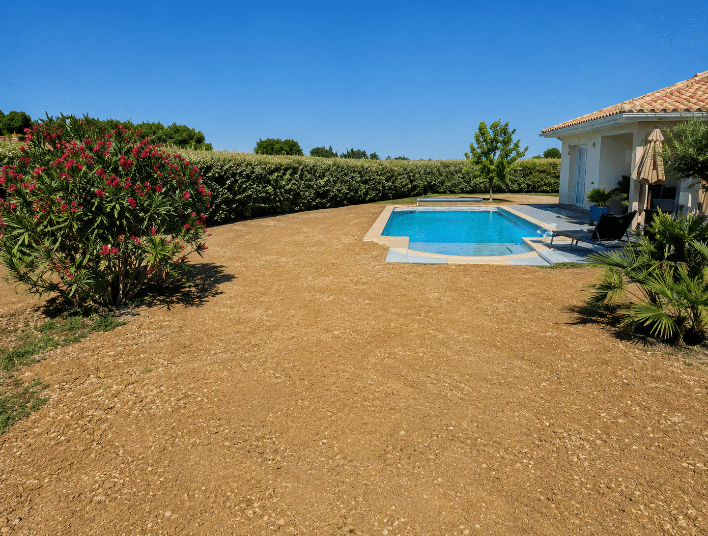 Piscine moderne dans un jardin ensoleillé avec laurier rose en fleurs et haie de protection sous ciel bleu.